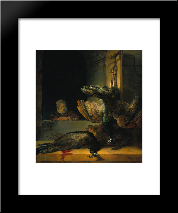 Dead Peacocks 20x24 Black Modern Wood Framed Art Print Poster by Rembrandt