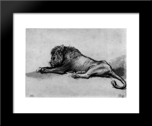 Lion Resting 20x24 Black Modern Wood Framed Art Print Poster by Rembrandt