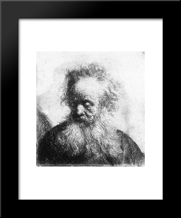 Old Man With Flowing Beard, Looking Down Left 20x24 Black Modern Wood Framed Art Print Poster by Rembrandt