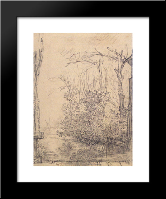 Overhanging Bushes In A Ditch 20x24 Black Modern Wood Framed Art Print Poster by Rembrandt