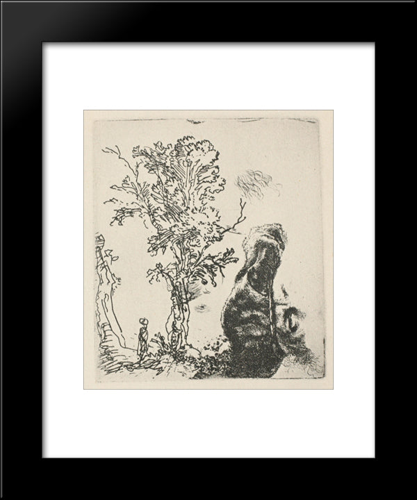 Sketch Of A Tree 20x24 Black Modern Wood Framed Art Print Poster by Rembrandt