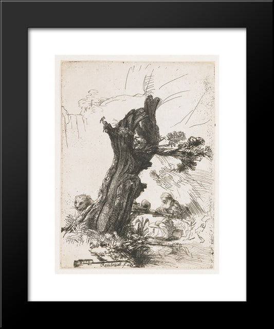 St. Jerome Beside A Pollard Willow 20x24 Black Modern Wood Framed Art Print Poster by Rembrandt