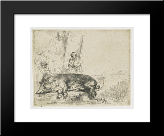 The Hog 20x24 Black Modern Wood Framed Art Print Poster by Rembrandt