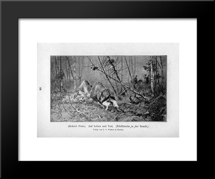 Auf Leben Und Tod (Edelhirsche In Der Brunft) 20x24 Black Modern Wood Framed Art Print Poster by Friese, Richard