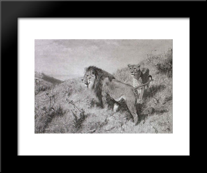 Lowenpaar In Der Savanne 20x24 Black Modern Wood Framed Art Print Poster by Friese, Richard