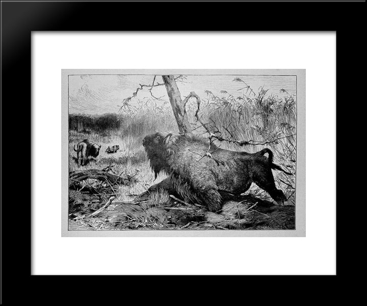 The Garden Arbor 20x24 Black Modern Wood Framed Art Print Poster by Friese, Richard
