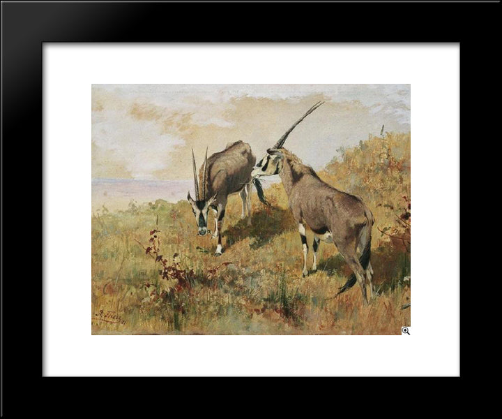 Zwei Antilopen 20x24 Black Modern Wood Framed Art Print Poster by Friese, Richard