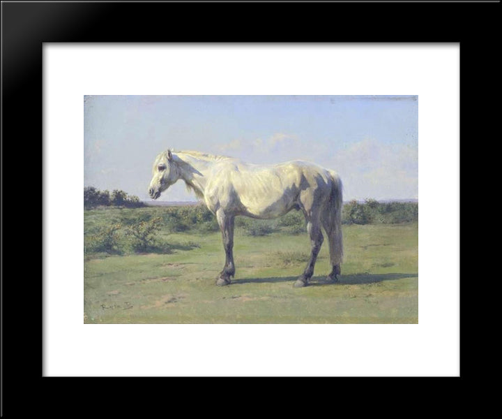 A Grey Horse In A Field 20x24 Black Modern Wood Framed Art Print Poster by Bonheur, Rosa