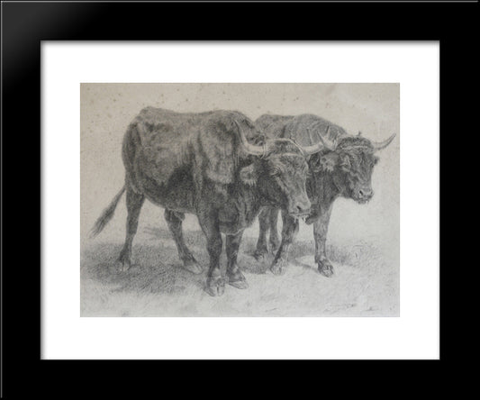 Boeufs Du Cantal 20x24 Black Modern Wood Framed Art Print Poster by Bonheur, Rosa
