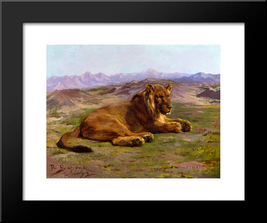 Couching Lion 20x24 Black Modern Wood Framed Art Print Poster by Bonheur, Rosa