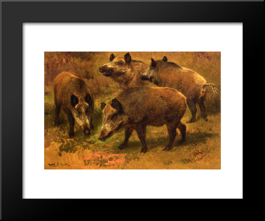 Four Boars In A Landscape 20x24 Black Modern Wood Framed Art Print Poster by Bonheur, Rosa