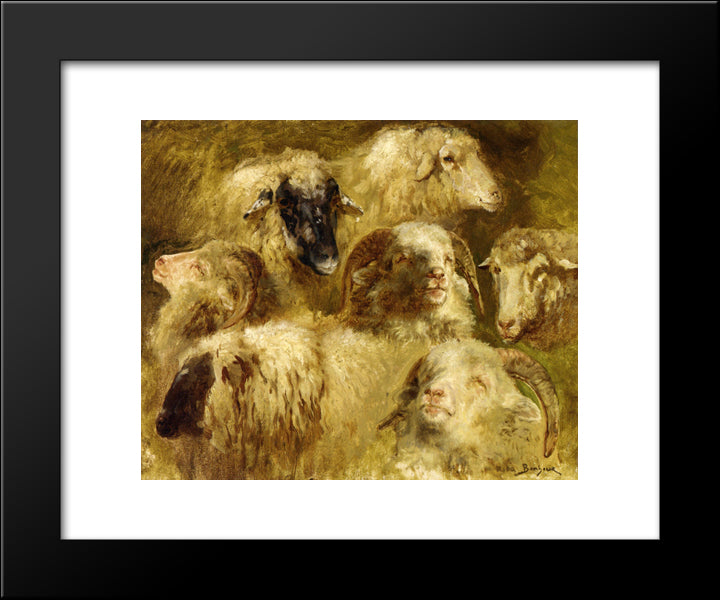 Heads Of Ewes And Rams 20x24 Black Modern Wood Framed Art Print Poster by Bonheur, Rosa