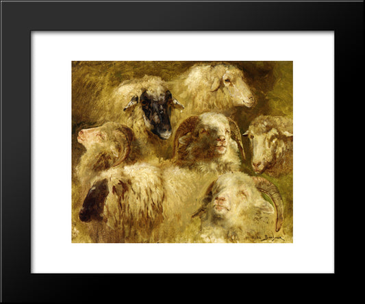 Heads Of Ewes And Rams 20x24 Black Modern Wood Framed Art Print Poster by Bonheur, Rosa