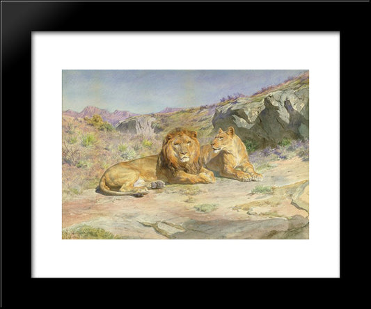 Royalty At Home 20x24 Black Modern Wood Framed Art Print Poster by Bonheur, Rosa