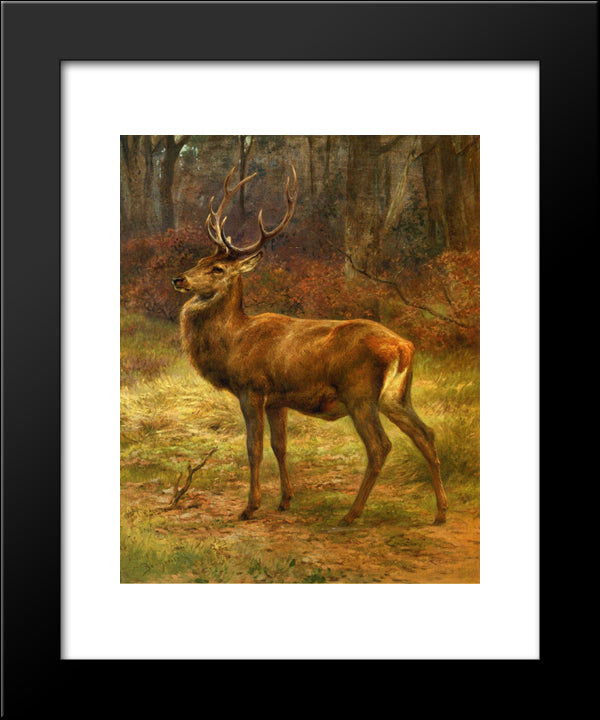 Stag In An Autumn Landscape 20x24 Black Modern Wood Framed Art Print Poster by Bonheur, Rosa