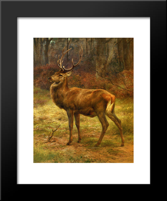 Stag In An Autumn Landscape 20x24 Black Modern Wood Framed Art Print Poster by Bonheur, Rosa