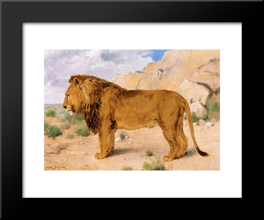 Study Of A Lion 20x24 Black Modern Wood Framed Art Print Poster by Bonheur, Rosa