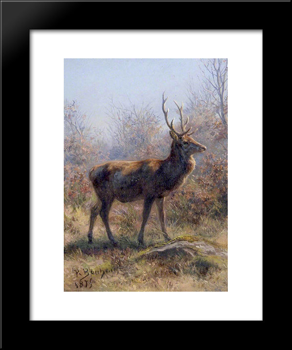 The Stag 20x24 Black Modern Wood Framed Art Print Poster by Bonheur, Rosa