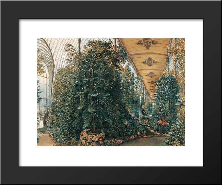 Interior View Of The Palm House Of Lednice Castle 20x24 Black Modern Wood Framed Art Print Poster by Alt, Rudolf von