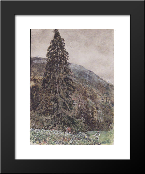 The Large Pine In Gastein 20x24 Black Modern Wood Framed Art Print Poster by Alt, Rudolf von