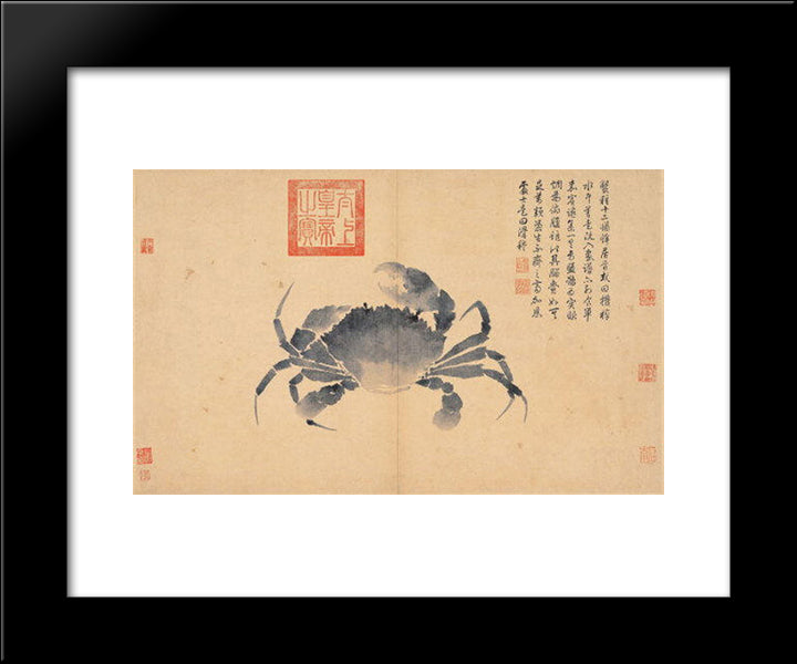 Crab (Sketches From Life) 20x24 Black Modern Wood Framed Art Print Poster by Zhou, Shen