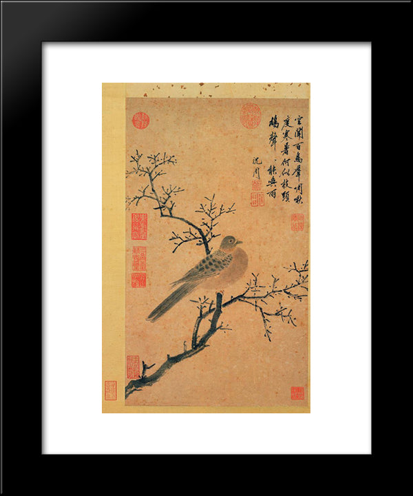 Turtledove Calling For Rain 20x24 Black Modern Wood Framed Art Print Poster by Zhou, Shen