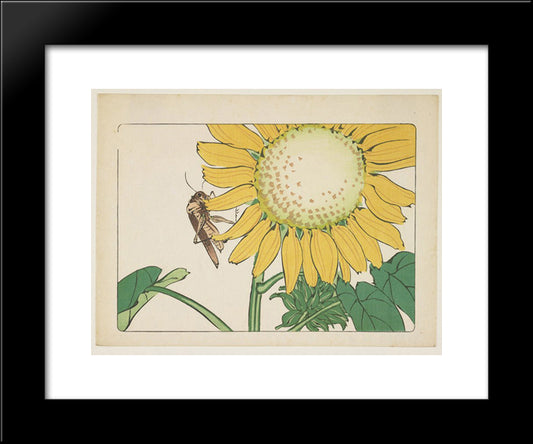 Grasshopper And Sunflower 20x24 Black Modern Wood Framed Art Print Poster by Zeshin, Shibata