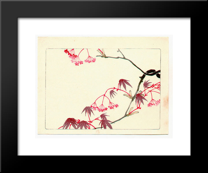 Red Maple - Hana Kurabe 20x24 Black Modern Wood Framed Art Print Poster by Zeshin, Shibata