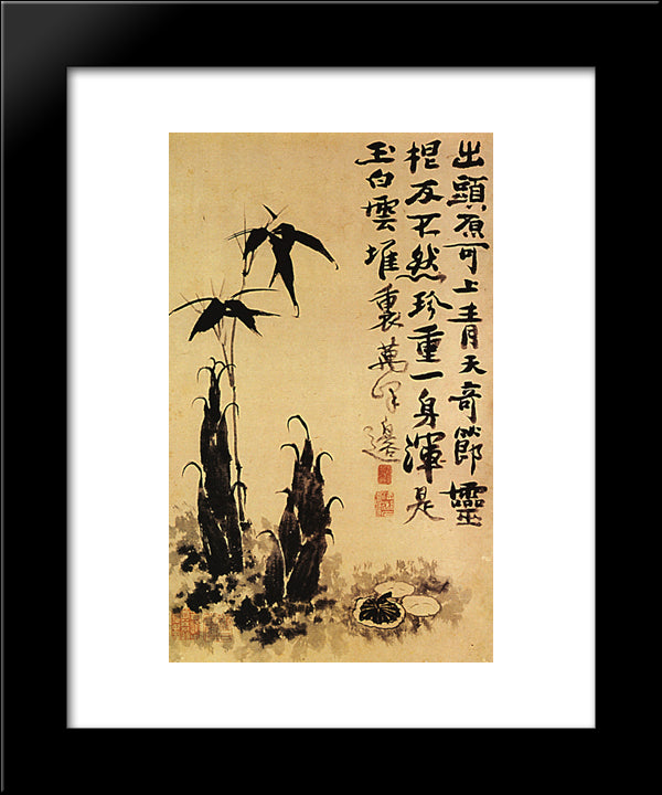 Bamboo Shoots 20x24 Black Modern Wood Framed Art Print Poster by Shitao