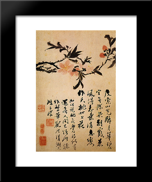 Branch To Fish 20x24 Black Modern Wood Framed Art Print Poster by Shitao