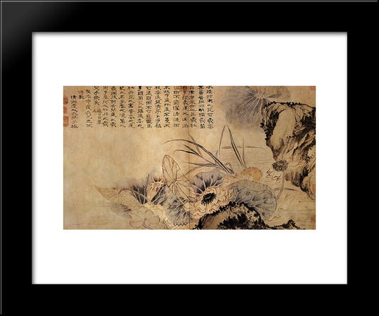 On The Lotus Pond 20x24 Black Modern Wood Framed Art Print Poster by Shitao