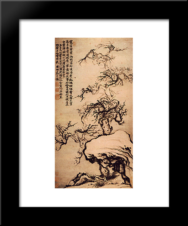 Prunus Among The Rocks 20x24 Black Modern Wood Framed Art Print Poster by Shitao