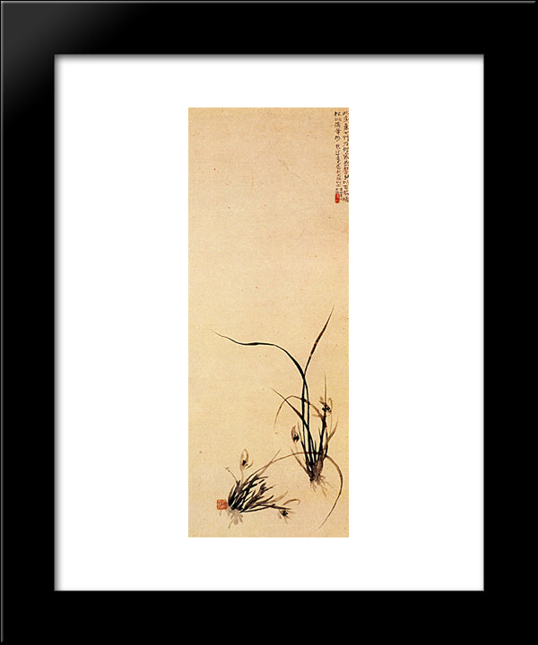 Shoots Of Orchids 20x24 Black Modern Wood Framed Art Print Poster by Shitao