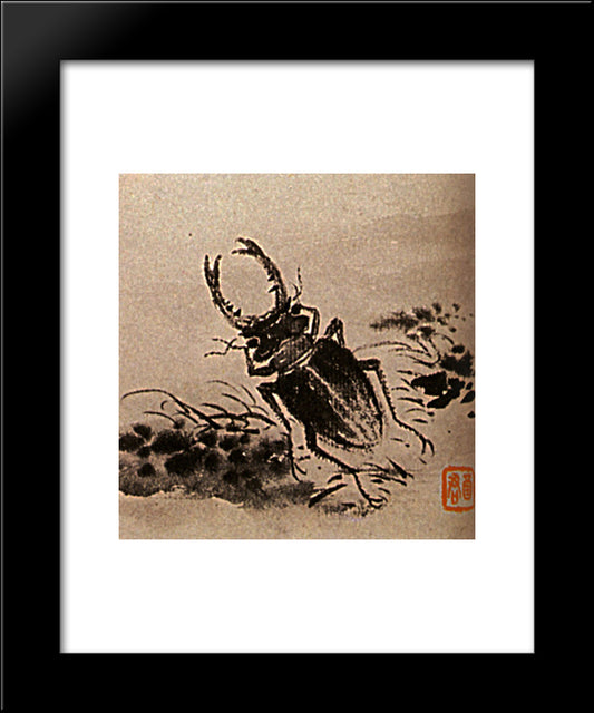 Studies Of Insects, Beetles 20x24 Black Modern Wood Framed Art Print Poster by Shitao
