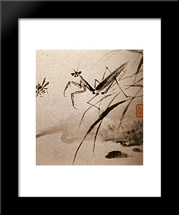Studies Of Insects, Mante 20x24 Black Modern Wood Framed Art Print Poster by Shitao
