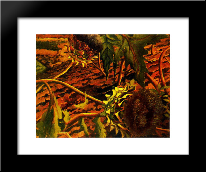 Flowering Artichokes 20x24 Black Modern Wood Framed Art Print Poster by Spencer, Stanley