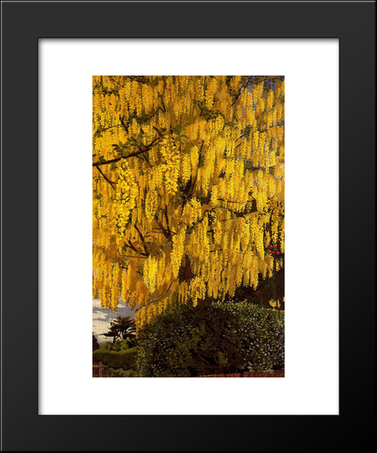 Laburnum 20x24 Black Modern Wood Framed Art Print Poster by Spencer, Stanley