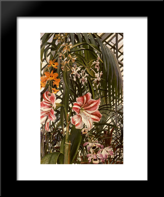 Orchids, Lilies, Palms 20x24 Black Modern Wood Framed Art Print Poster by Spencer, Stanley