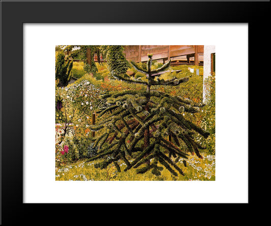 The Monkey Puzzle, Whitehouse, Northern Ireland 20x24 Black Modern Wood Framed Art Print Poster by Spencer, Stanley