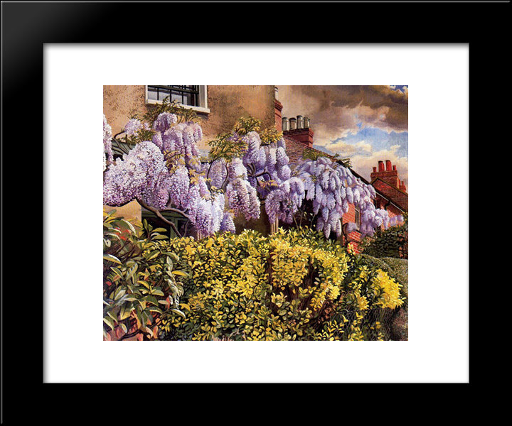 Wisteria. Cookham. 20x24 Black Modern Wood Framed Art Print Poster by Spencer, Stanley