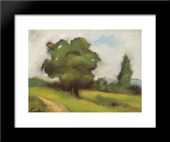 Countryside Path (Brebu) 20x24 Black Modern Wood Framed Art Print Poster by Luchian, Stefan