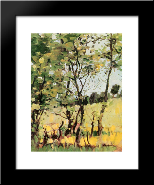 The River Meadow At Poduri 20x24 Black Modern Wood Framed Art Print Poster by Luchian, Stefan