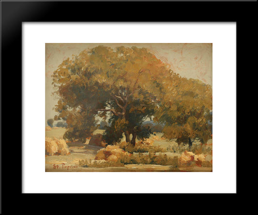 At The Shadow Of Walnut Trees 20x24 Black Modern Wood Framed Art Print Poster by Popescu, Stefan