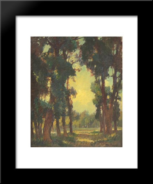 Forest Vista 20x24 Black Modern Wood Framed Art Print Poster by Popescu, Stefan