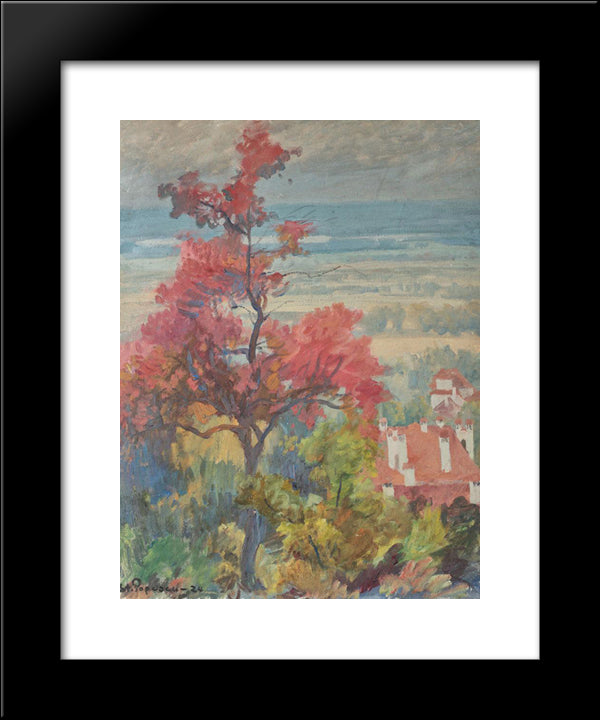 Landscape From Provence 20x24 Black Modern Wood Framed Art Print Poster by Popescu, Stefan