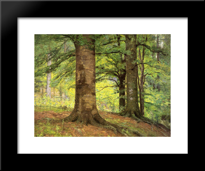 Beech Trees 20x24 Black Modern Wood Framed Art Print Poster by Steele, T. C.