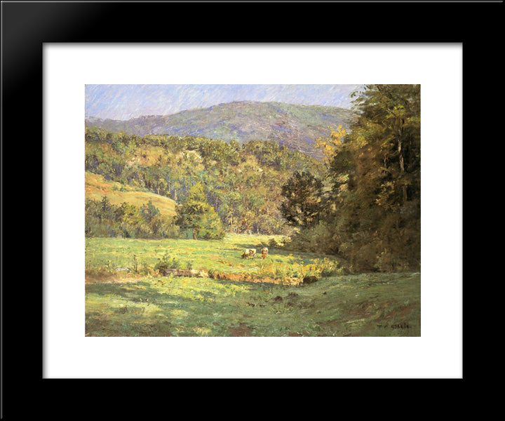 Roan Mountain 20x24 Black Modern Wood Framed Art Print Poster by Steele, T. C.