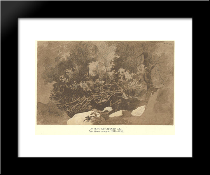 Mangyshlak Garden 20x24 Black Modern Wood Framed Art Print Poster by Shevchenko, Taras