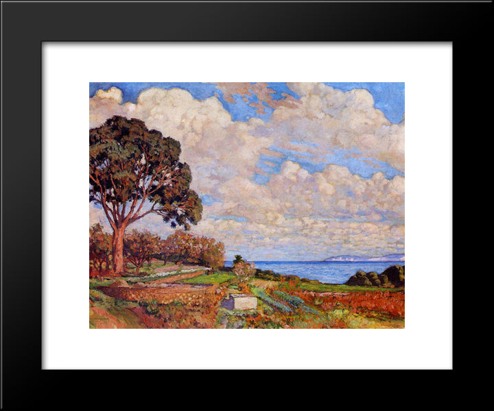 Large Tree Near The Sea 20x24 Black Modern Wood Framed Art Print Poster by Rysselberghe, Theo van