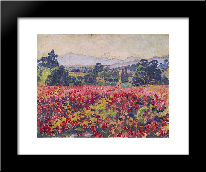 The Vines In Saint Clair 20x24 Black Modern Wood Framed Art Print Poster by Rysselberghe, Theo van